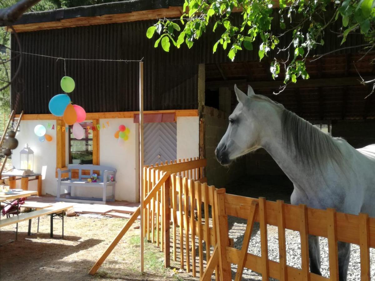 Zuruck Zur Natur - Urlaub Im Zirkuswagen, Sommeratelier Oder Schindelwagen Adenbach Eksteriør billede