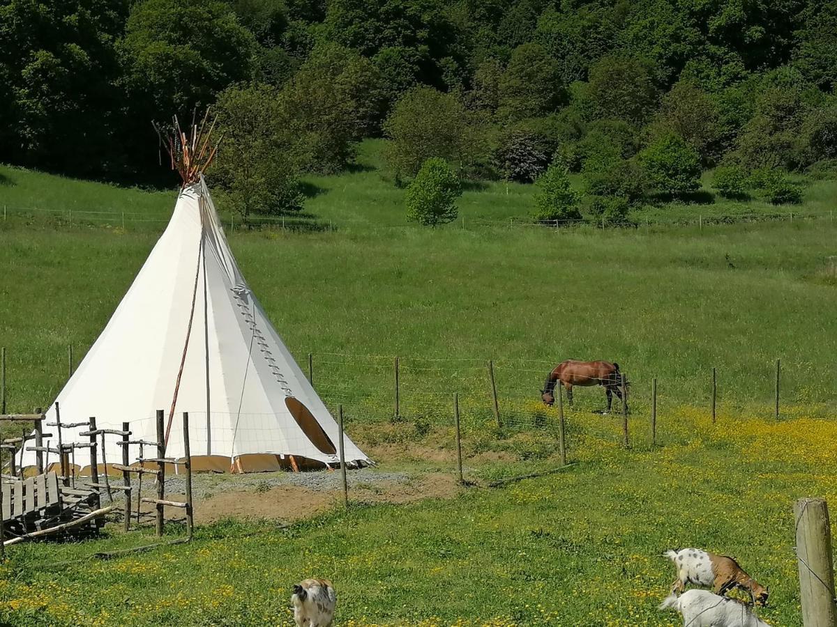 Zuruck Zur Natur - Urlaub Im Zirkuswagen, Sommeratelier Oder Schindelwagen Adenbach Eksteriør billede